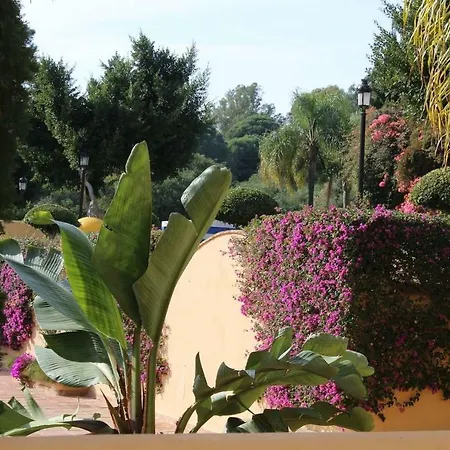 Apartamento En Patios De Santa Maria Golf Marbella